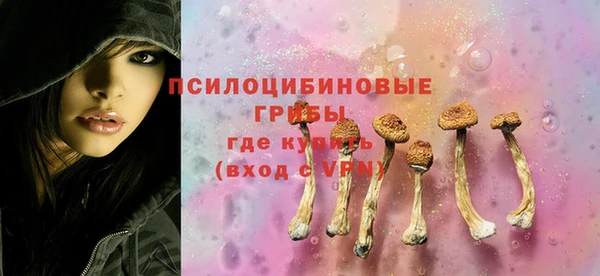 ECSTASY Верхний Тагил